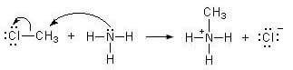 alchilazione delle ammine meccanismo di reazione